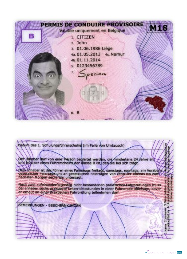 download Belgium provisional driving license